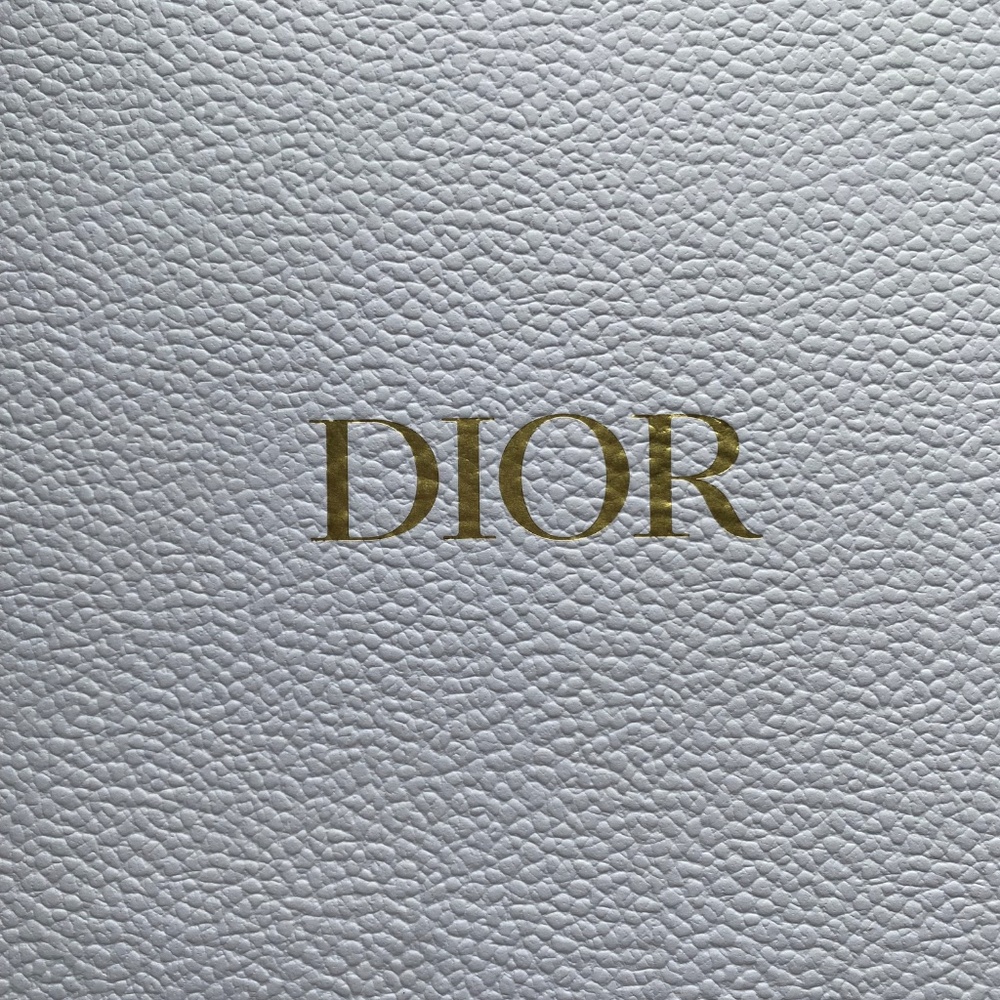 DIOR Beauty Brush Set with Zipper Case 4pc Set NEW! 2025 Silver Welcome Gift - Picture 4 of 4